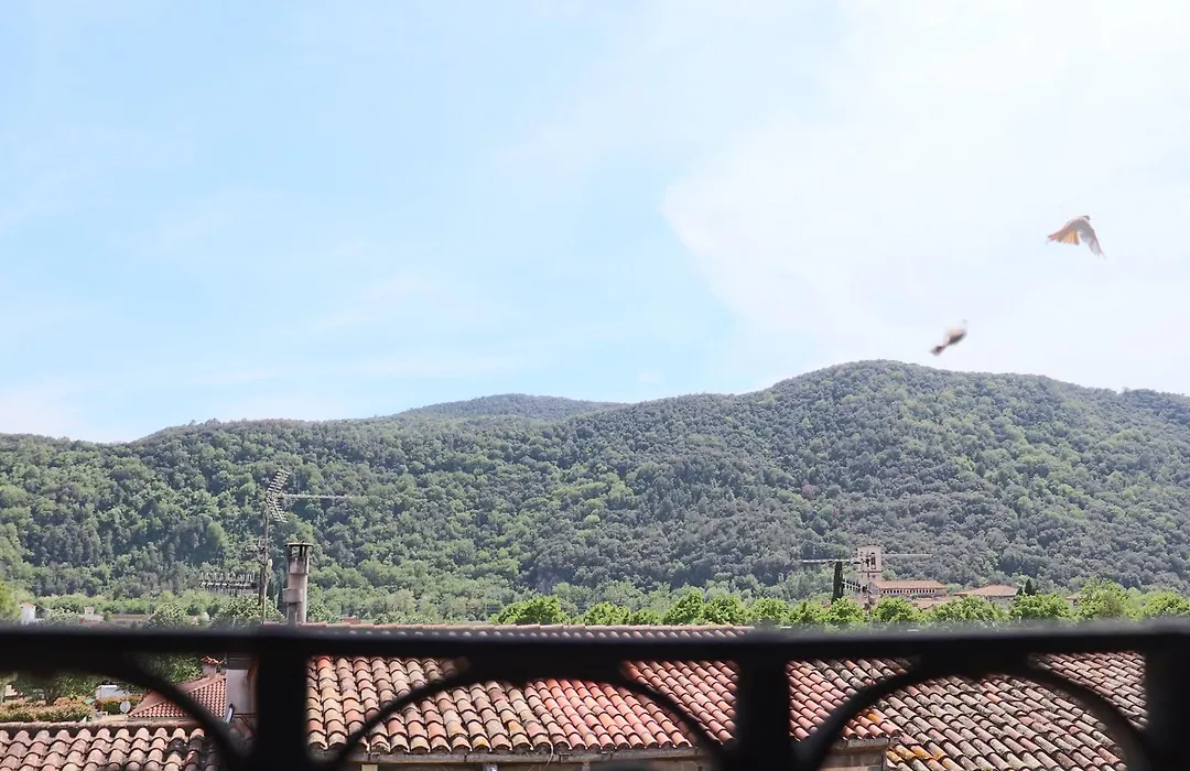 Les Magranes Bed & Breakfast-1
